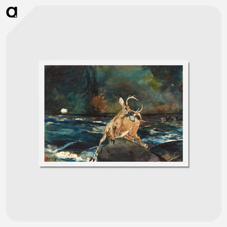 アートポストカード-A Good Shot, Adirondacks - ウィンスロー ホーマー Postcard.