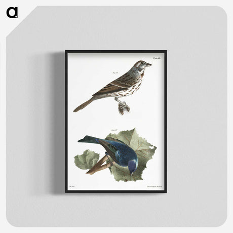 1-87_Zoology-of-New-York_blk-crop