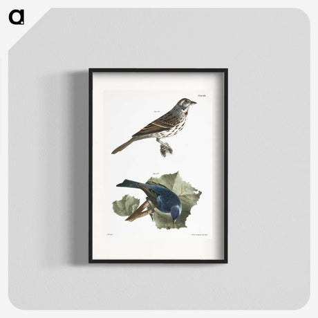 1-87_Zoology-of-New-York_blk