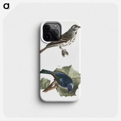 1-87_Zoology-of-New-York_phone