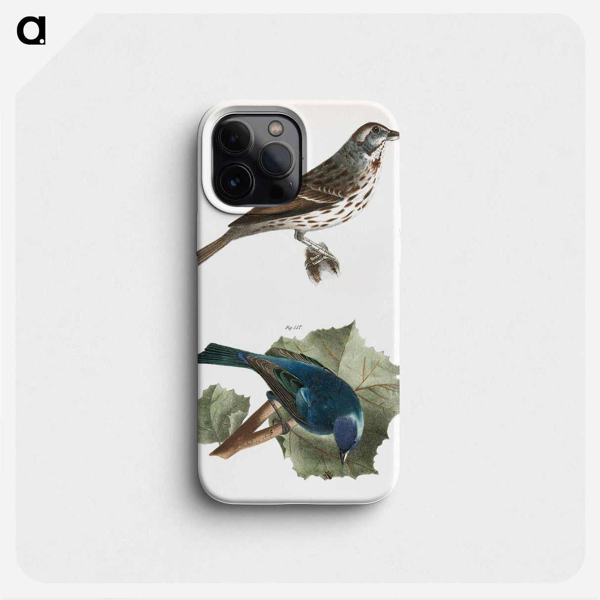 Song Sparrow (Fringilla melodia) 157. Indigo-bird (Spiza cyanea) illustration from Zoology of New York by James Ellsworth De Kay. - ニューヨークの動物学 Phone Case.