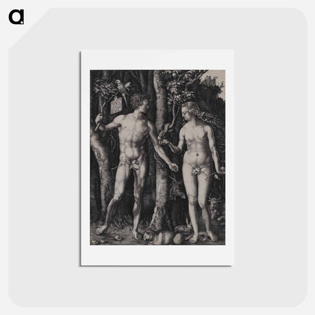 アートポストカード-Adam and Eve - アルブレヒト デューラー Postcard.
