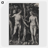 1-88_Albrecht-Durer_picture-crop