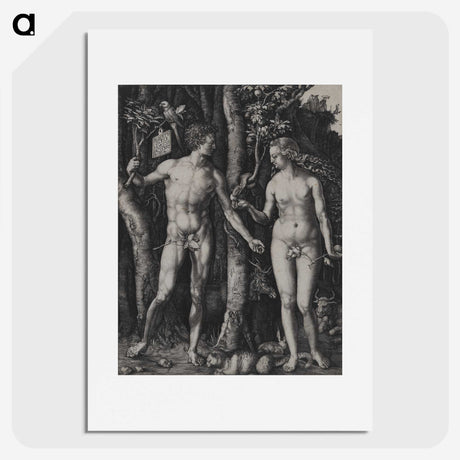 1-88_Albrecht-Durer_picture