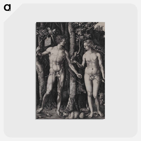 アートポストカード-Adam and Eve - アルブレヒト デューラー Postcard.