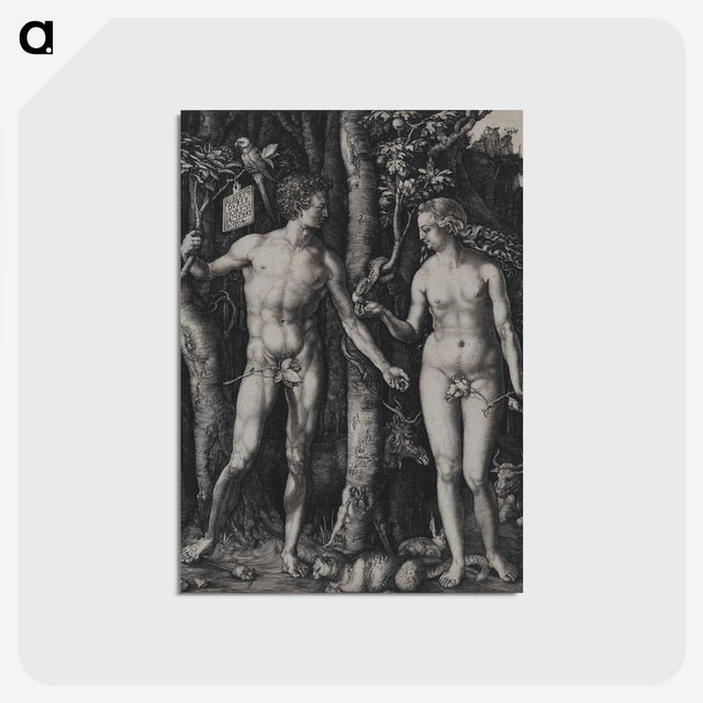 1-88_Albrecht-Durer_postcard