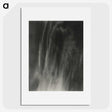 1-88_Alfred-Stieglitz_picture