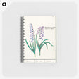 1-88_Anselmus-Boetius-de-Boodt_memo
