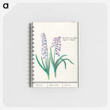 1-88_Anselmus-Boetius-de-Boodt_memo