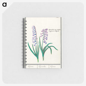 1-88_Anselmus-Boetius-de-Boodt_memo