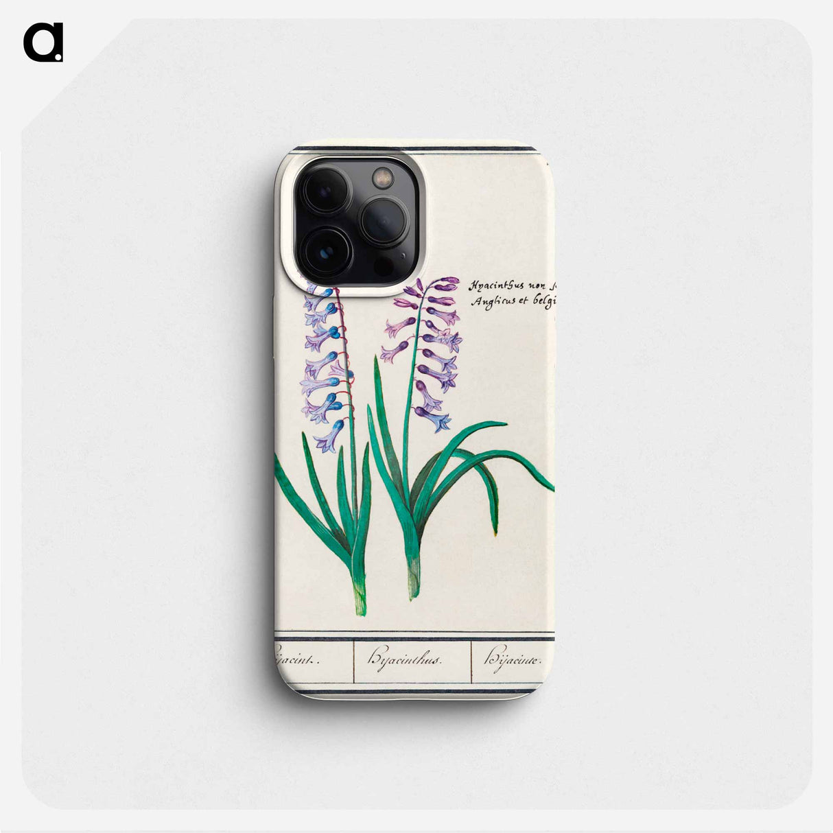 Hyacinth - アンセルムス ボエティウス デ ブート Phone Case.