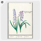 1-88_Anselmus-Boetius-de-Boodt_picture-crop