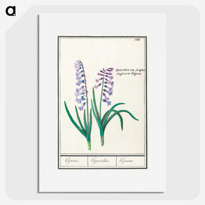 1-88_Anselmus-Boetius-de-Boodt_picture