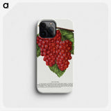 1-88_Botanical-Specimen-Plates_phone