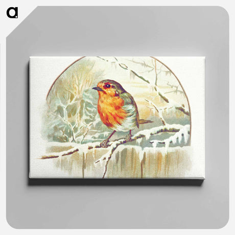 アートパネル-Winter Bird Illustration
 - 大英図書館 Canvas.