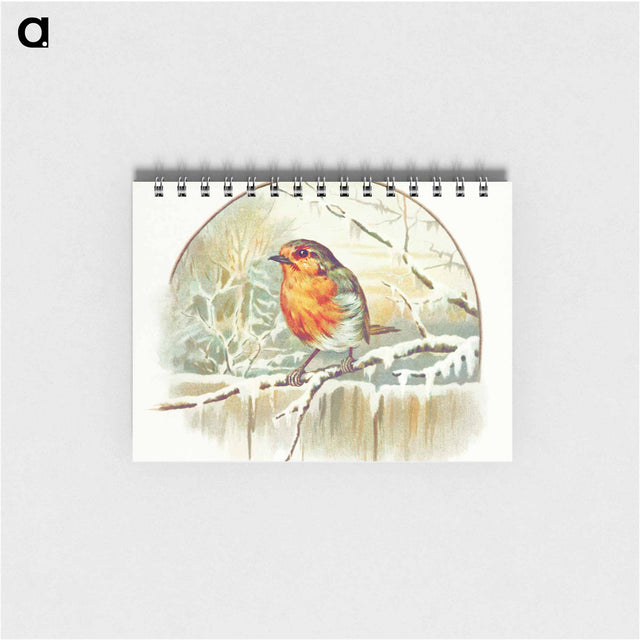 アートメモ帳-Winter Bird Illustration
 - 大英図書館 Memo.