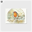 アートポストカード-Winter Bird Illustration
 - 大英図書館 Postcard.