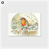 アートポストカード-Winter Bird Illustration
 - 大英図書館 Postcard.