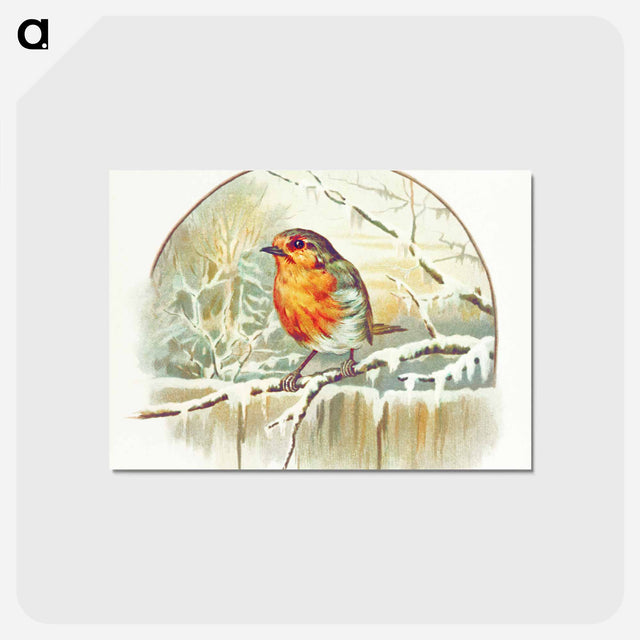アートポストカード-Winter Bird Illustration
 - 大英図書館 Postcard.