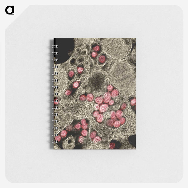 1-88_COVID-19_memo