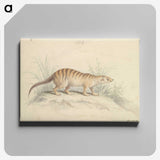 1-88_Charles-Hamilton-Smith_canvas