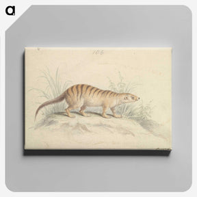 1-88_Charles-Hamilton-Smith_canvas