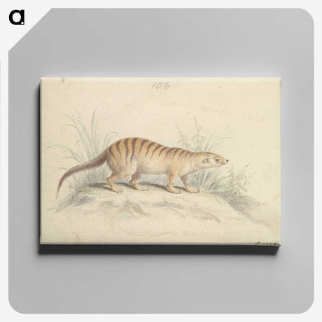 1-88_Charles-Hamilton-Smith_canvas