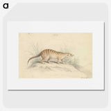 1-88_Charles-Hamilton-Smith_picture