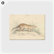 1-88_Charles-Hamilton-Smith_postcard