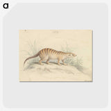 1-88_Charles-Hamilton-Smith_postcard