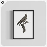 1-88_Des-Oiseaux-de-Paradis_blk-crop
