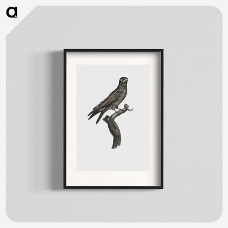 1-88_Des-Oiseaux-de-Paradis_blk