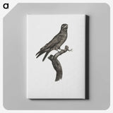 1-88_Des-Oiseaux-de-Paradis_canvas