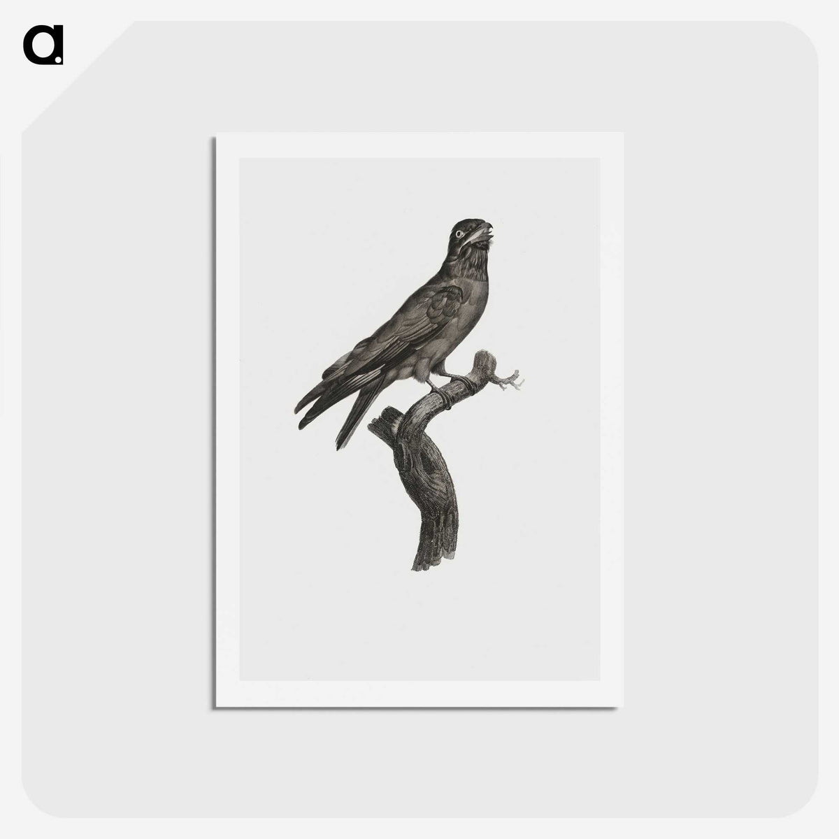 1-88_Des-Oiseaux-de-Paradis_hagaki