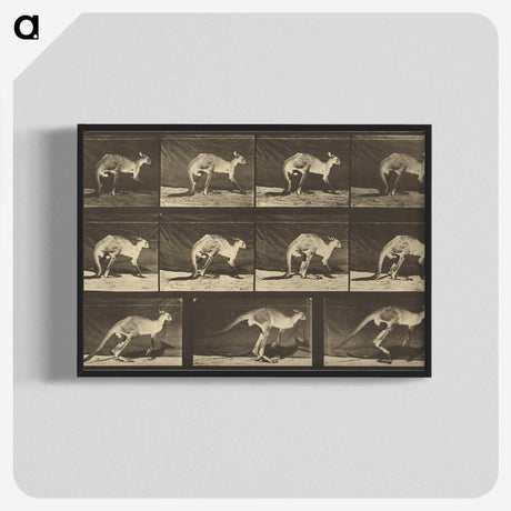 1-88_Eadweard-Muybridge_blk-crop