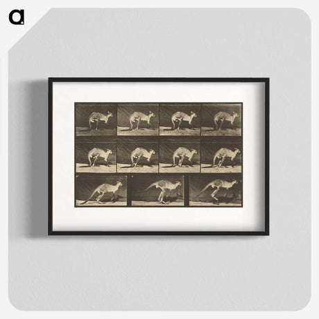 1-88_Eadweard-Muybridge_blk