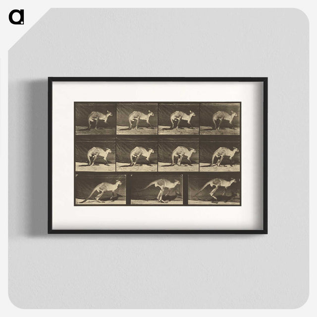 1-88_Eadweard-Muybridge_blk