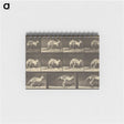 1-88_Eadweard-Muybridge_memo