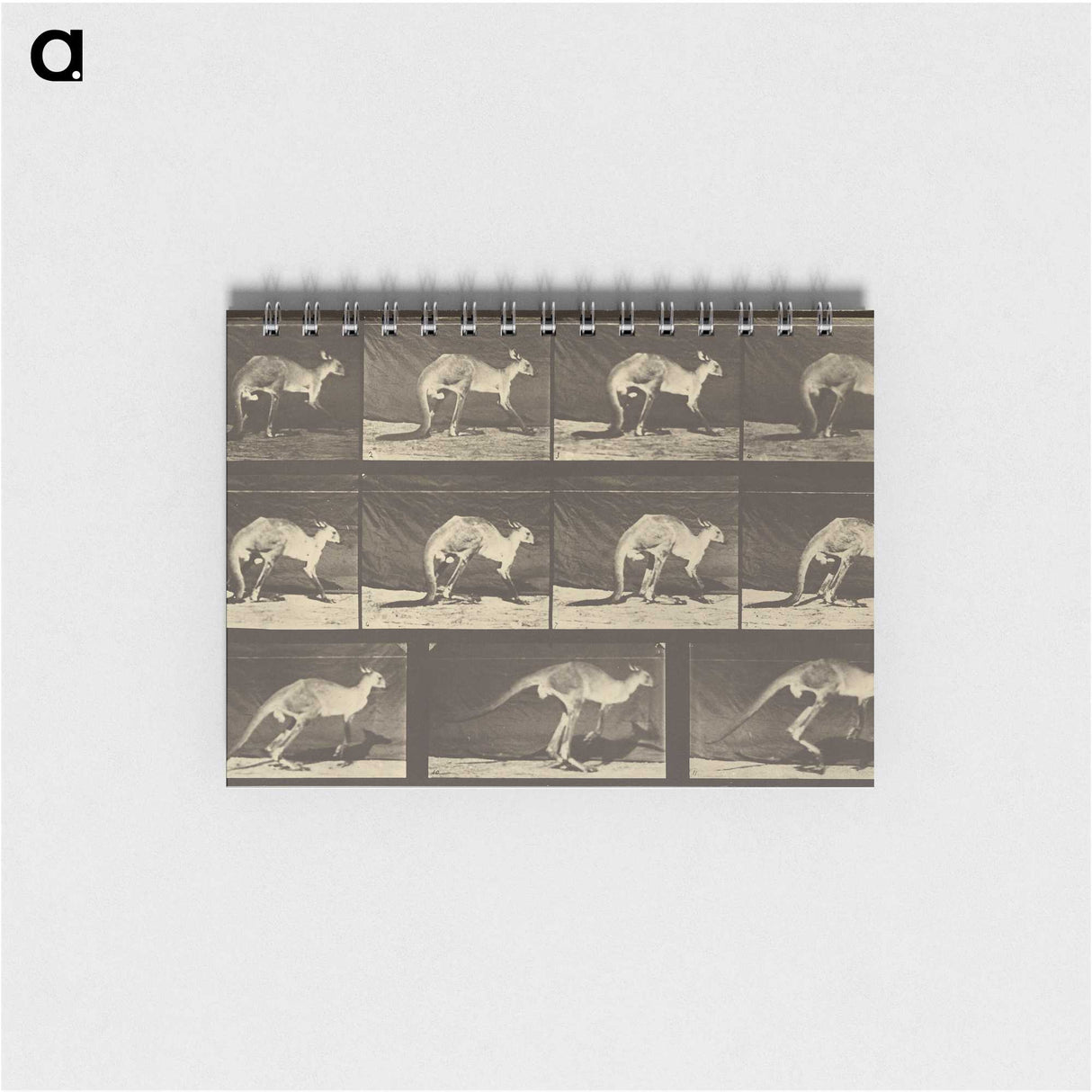 1-88_Eadweard-Muybridge_memo
