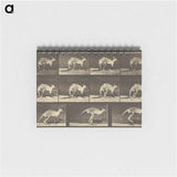 1-88_Eadweard-Muybridge_memo