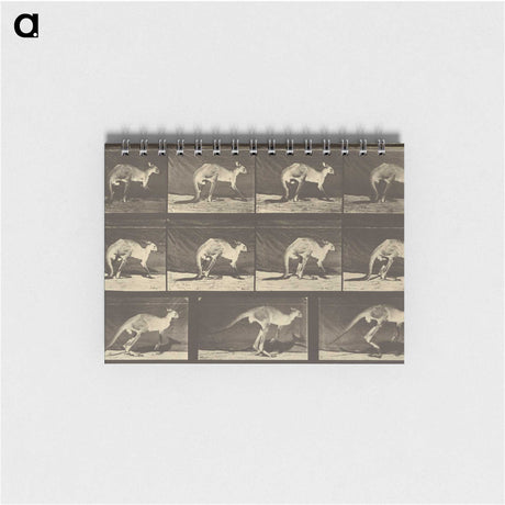 1-88_Eadweard-Muybridge_memo