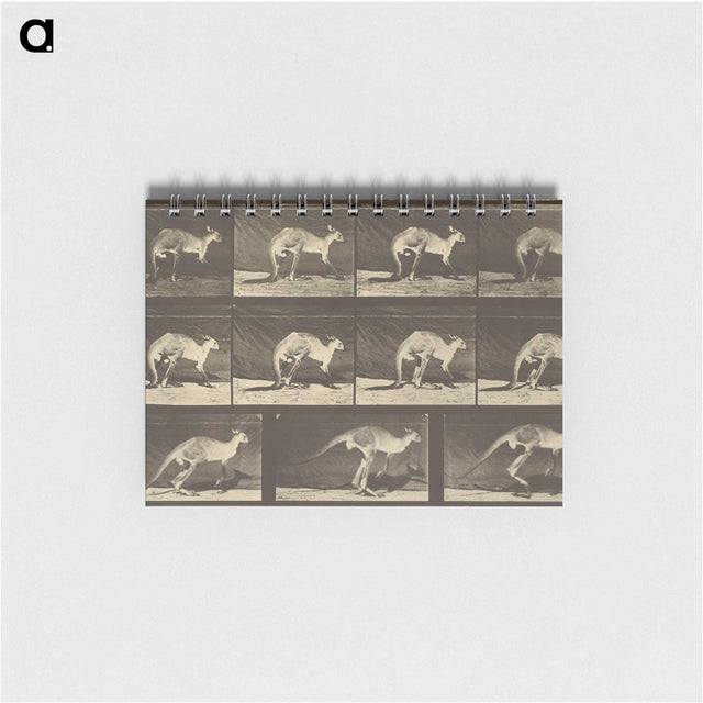 1-88_Eadweard-Muybridge_memo
