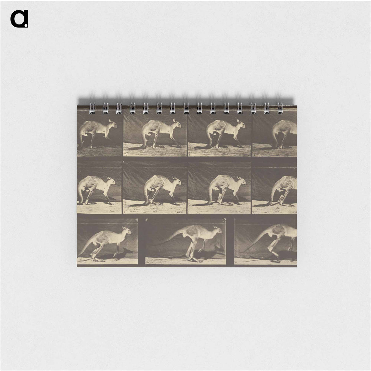 アートメモ帳-Animal Locomotion
 - エドワード マイブリッジ Memo.
