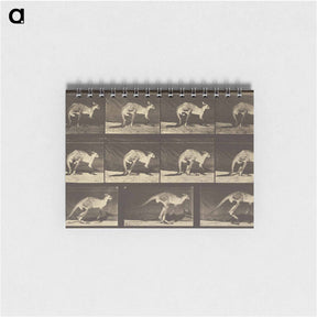 アートメモ帳-Animal Locomotion
 - エドワード マイブリッジ Memo.