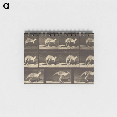 アートメモ帳-Animal Locomotion
 - エドワード マイブリッジ Memo.