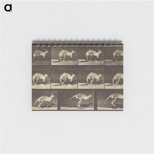 アートメモ帳-Animal Locomotion
 - エドワード マイブリッジ Memo.