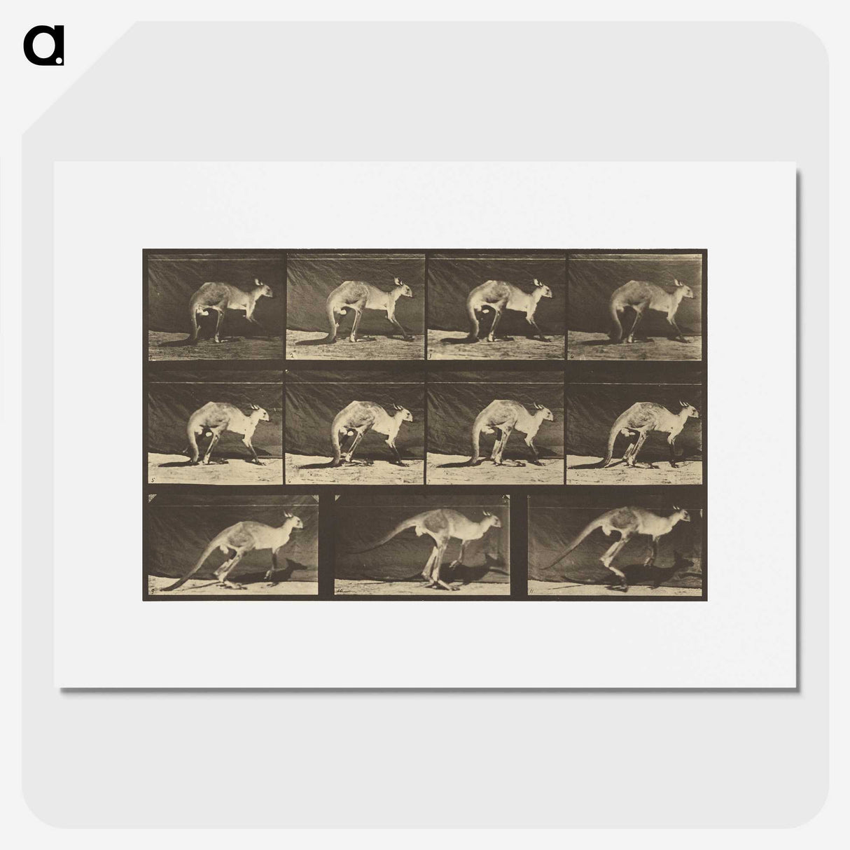 1-88_Eadweard-Muybridge_picture