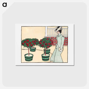アートポストカード-Woman in rose garden - エドワード ペンフィールド Postcard.