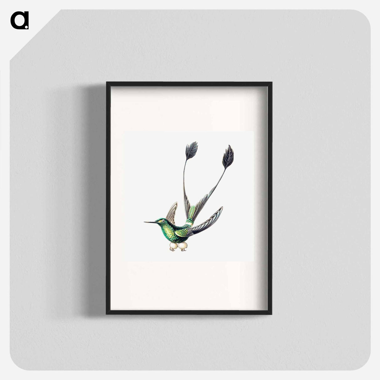 Colorful vintage hummingbird illustration - エルンスト ヘッケル Poster.