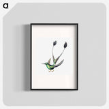 Colorful vintage hummingbird illustration - エルンスト ヘッケル Poster.